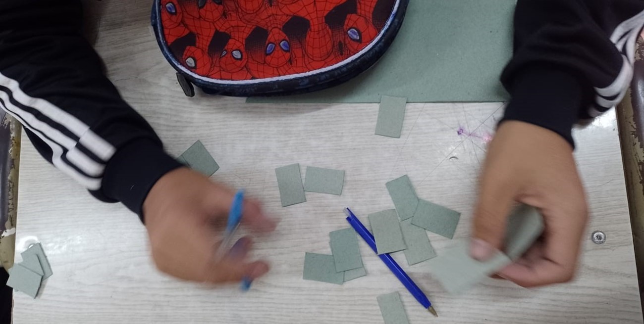 Alumnos santafesinos crean pastillas naturales para repeler mosquitos y combatir el dengue