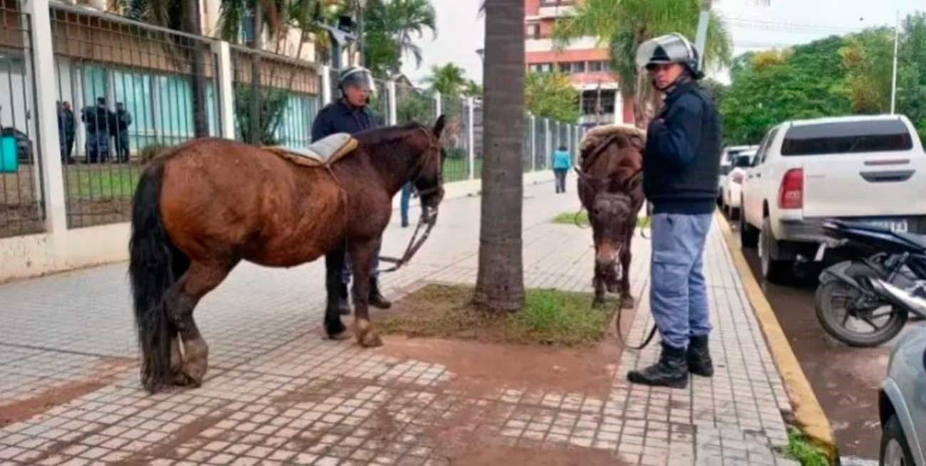 Insólito: un manifestante a caballo quiso entrar a la Casa de Gobierno de Chaco
