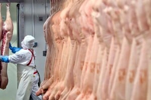 La producción de carnes subió un 0,2% mensual y 2,9% interanual.
