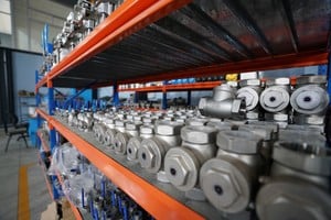 La dificultad no sólo complica el ingreso de mercadería terminada, también dificulta la tarea para industriales que necesitan incorporar al proceso de producción local insumos del exterior. Crédito: Fernando Nicola / Archivo El Litoral