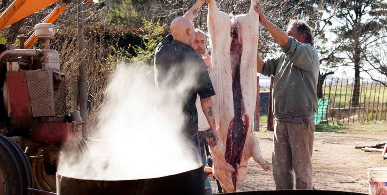 Lucha contra la triquinosis: cómo evitar enfermarse 