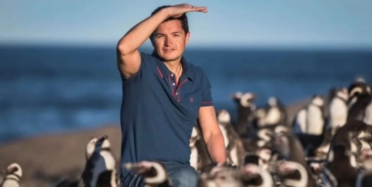 El trabajo con pingüinos del argentino que ganó el "Nobel" de la conservación animal