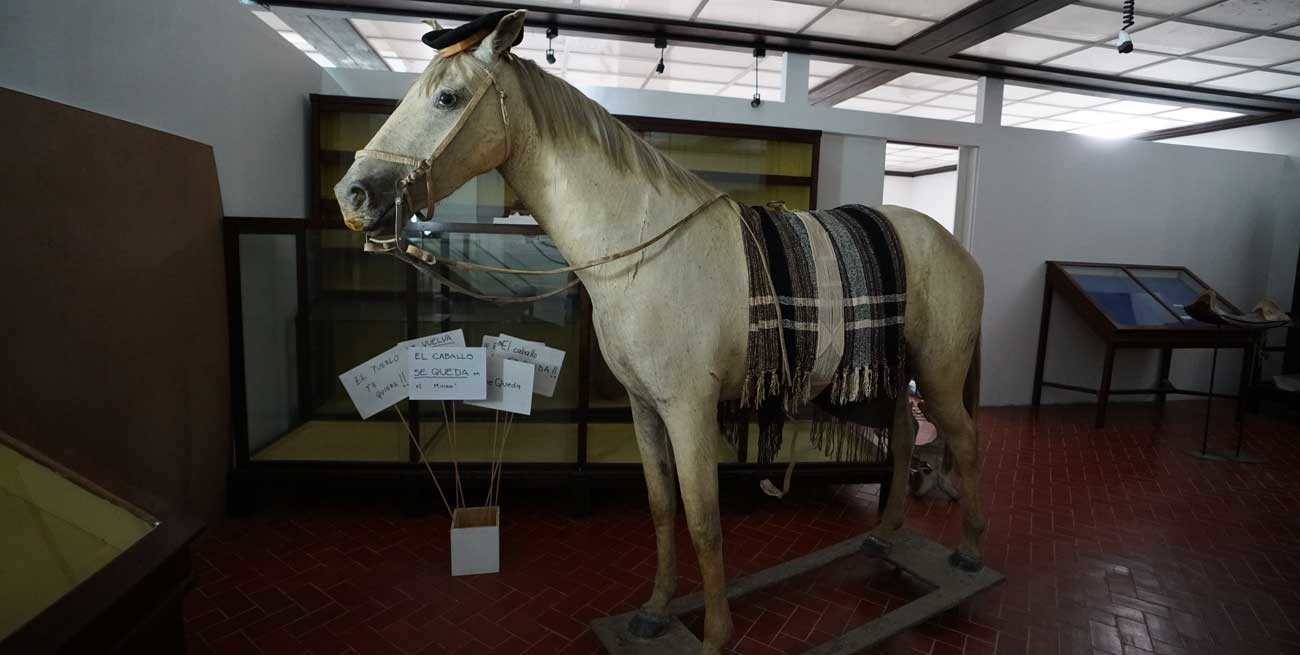 La desconocida historia del caballo del Museo Etnográfico de Santa Fe