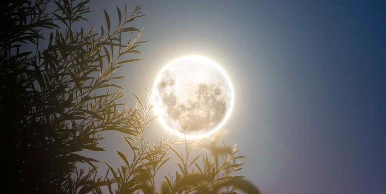 Luna nueva en Tauro: los rituales más poderosos para atraer el amor y la abundancia