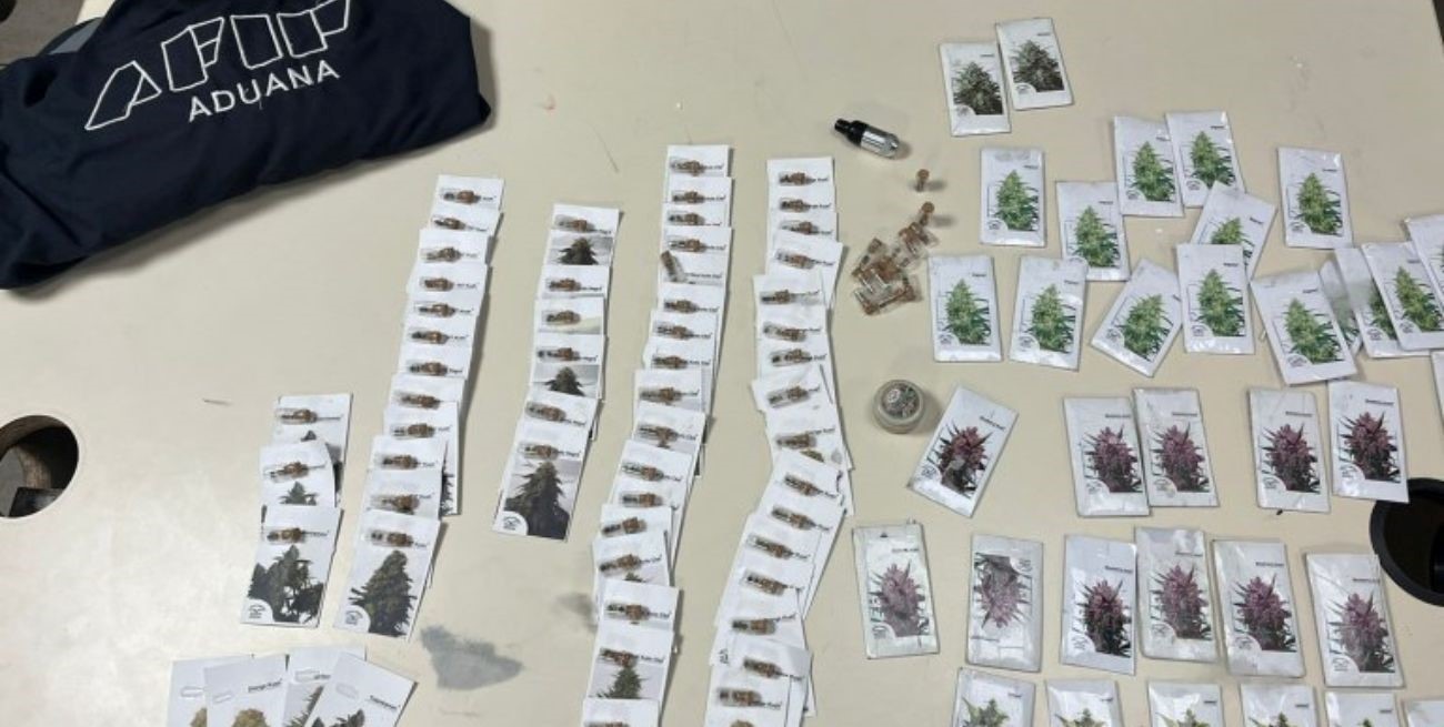 Secuestraron más de 1600 semillas de marihuana en un tour de compras 