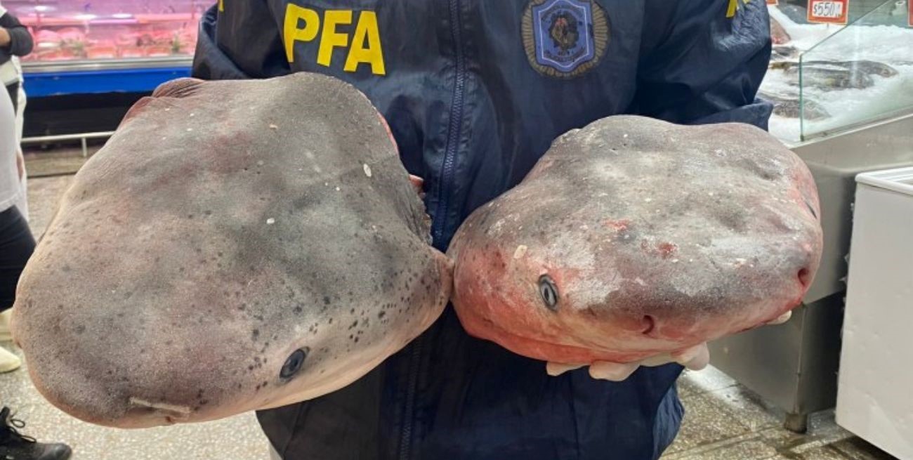 Incautaron trozos de tiburones en peligro de extinción en el Barrio Chino