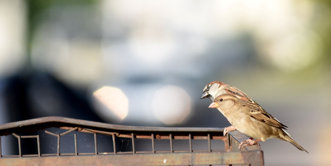 Línea directa y llegan cartas