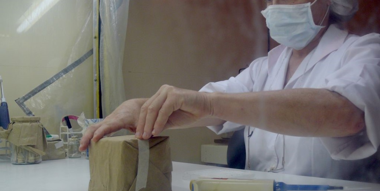 Gripe Aviar: se analizarán en Santa Fe las muestras del centro norte argentino