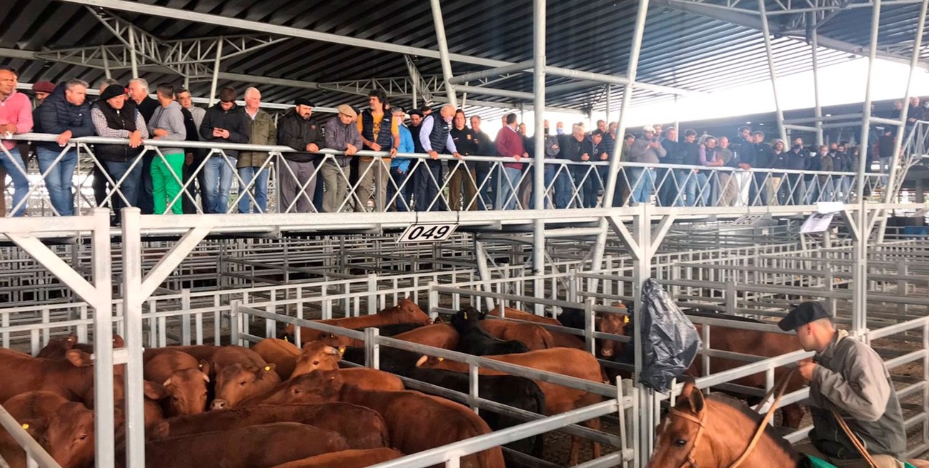 Colombo: "Esto no fue un paro, fue una toma"