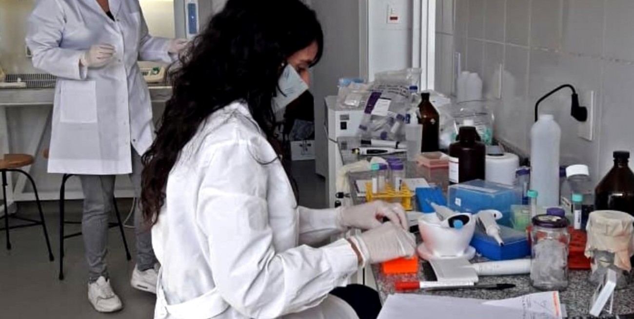 Desarrollan kit para detectar virus de Covid en mamíferos
