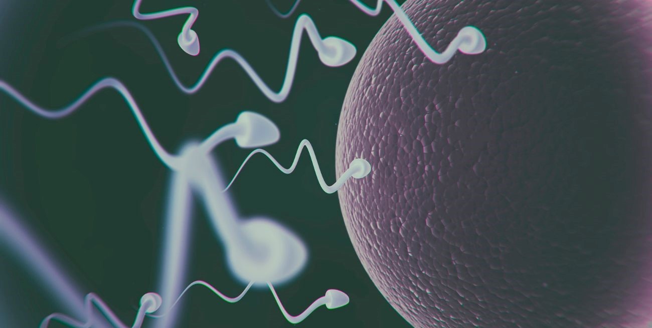 
Nació el primer bebé concebido con un nuevo método de fertilidad