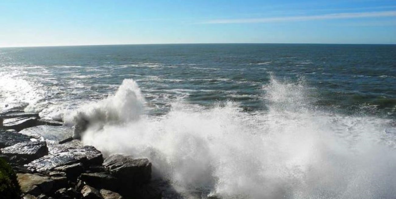 El Mar Argentino, desprotegido: un congreso impulsa su conservación