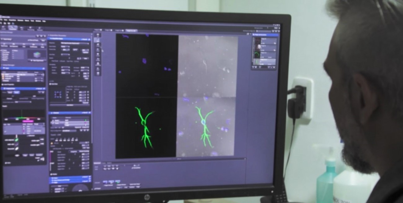 Ciclo de documentales sobre investigaciones provinciales