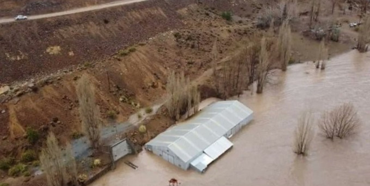 Neuquén bajo agua: hay más de 60 familias evacuadas
