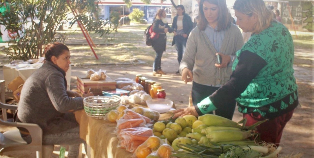 Proyecto FAROS alimentarios