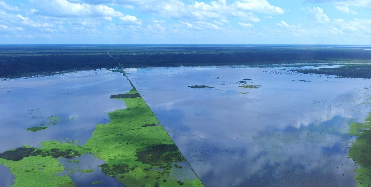Vinculan el aumento de las inundaciones en la llanura argentina con los cambios en el uso de la tierra
