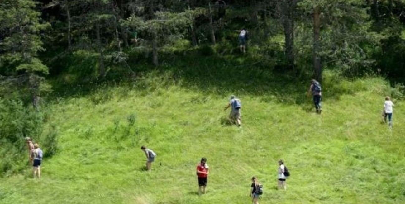 Cien policías buscan a Emile, el nene de dos años que despareció y mantiene en vilo a Francia