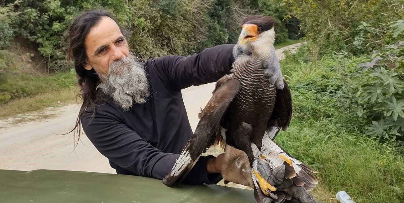A orillas del río Paraná rescataron a un carancho que quedó atrapado en una línea de pesca 