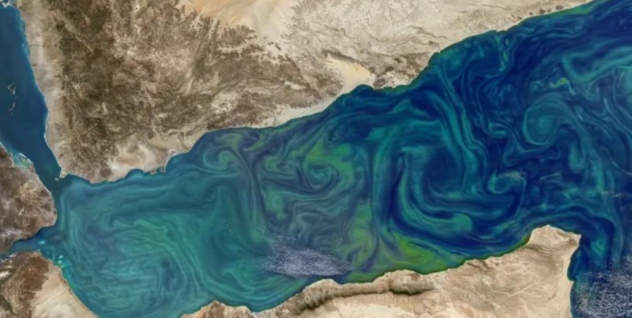 Imágenes satelitales revelan que el agua de los océanos está cambiando de color