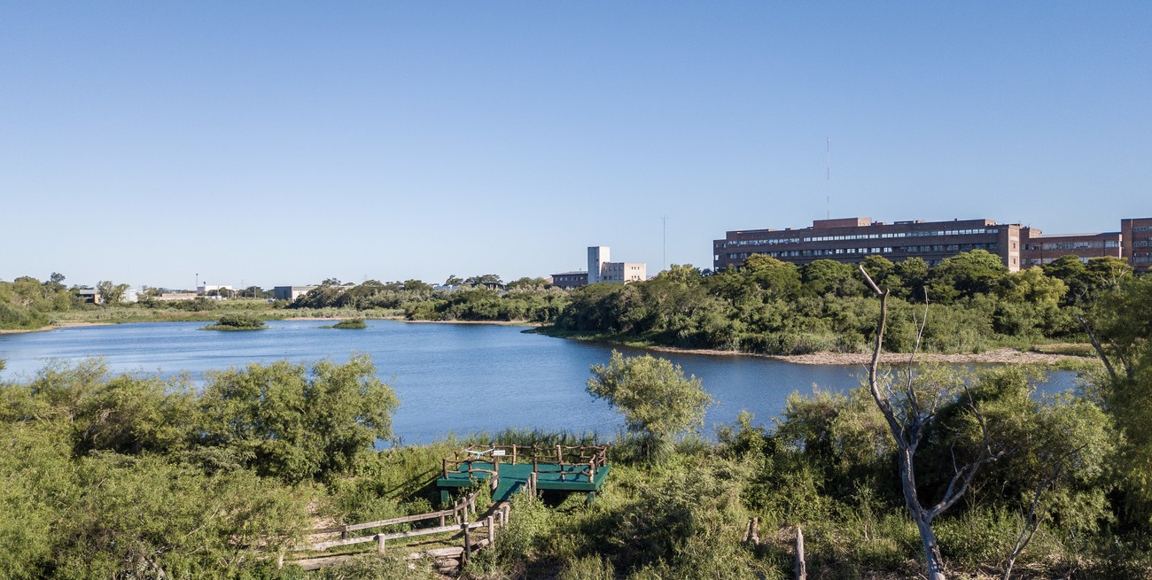 Las riquezas naturales que se preservan en la Reserva Ecológica UNL