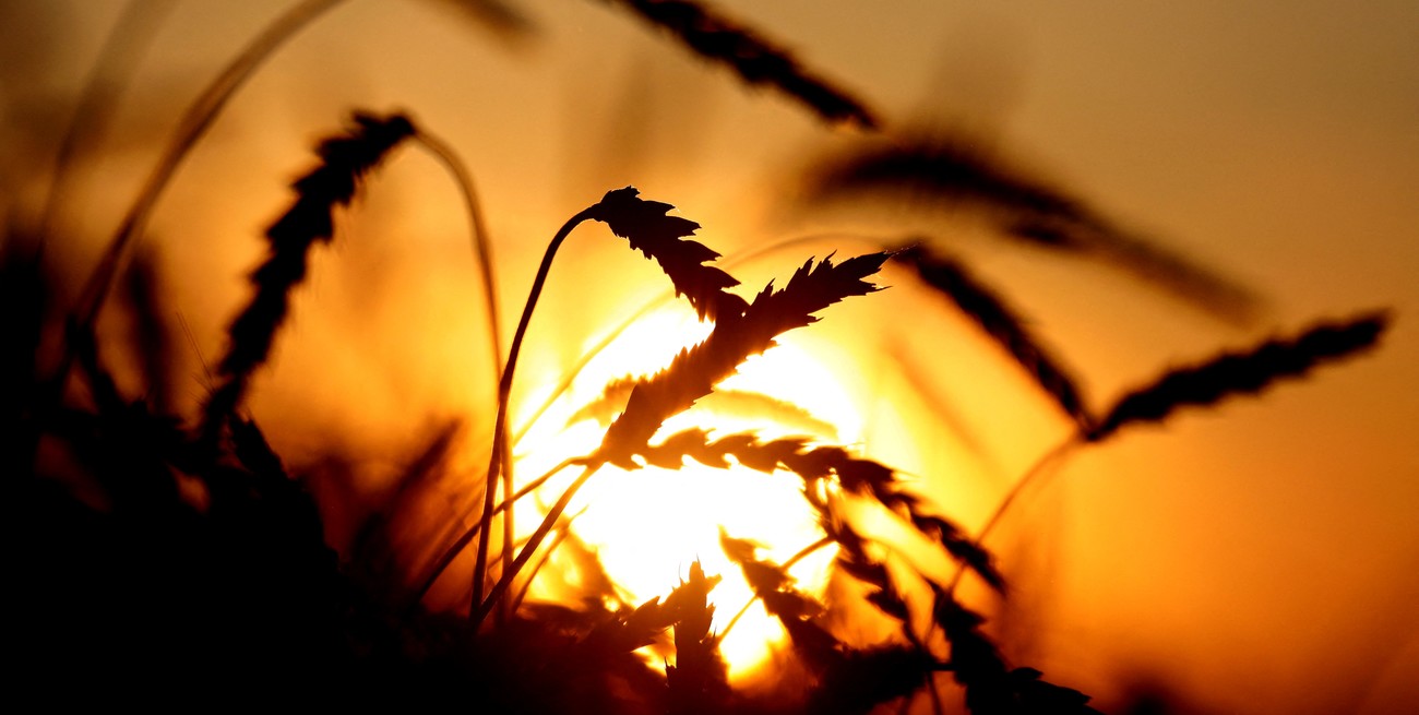 Como se preveía: Rusia se niega a renovar el acuerdo para la salida de granos