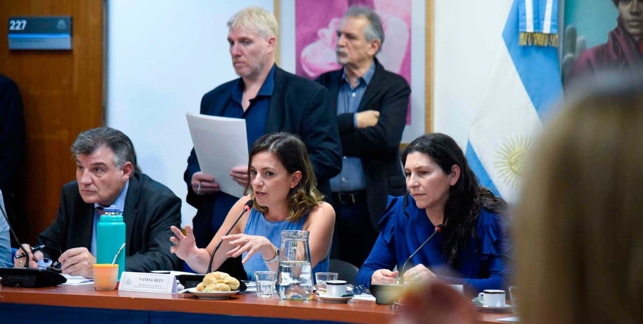 En plenario de Diputados, se inició el debate sobre tareas de cuidado