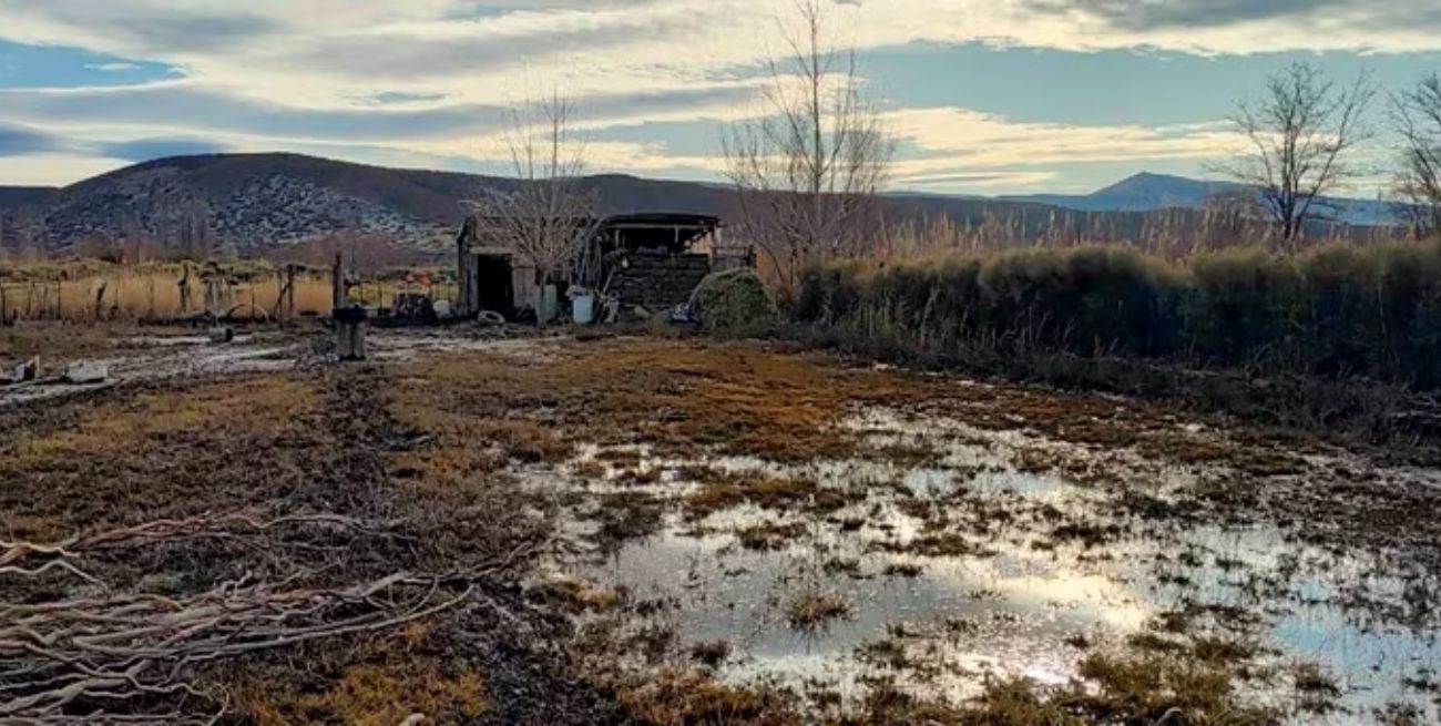 Declararon el estado de emergencia en Neuquén debido a las intensas lluvias