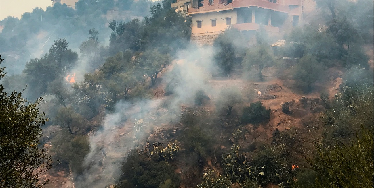 Emergencia por incendios en Argelia: al menos 15 muertos y 1.500 evacuados 