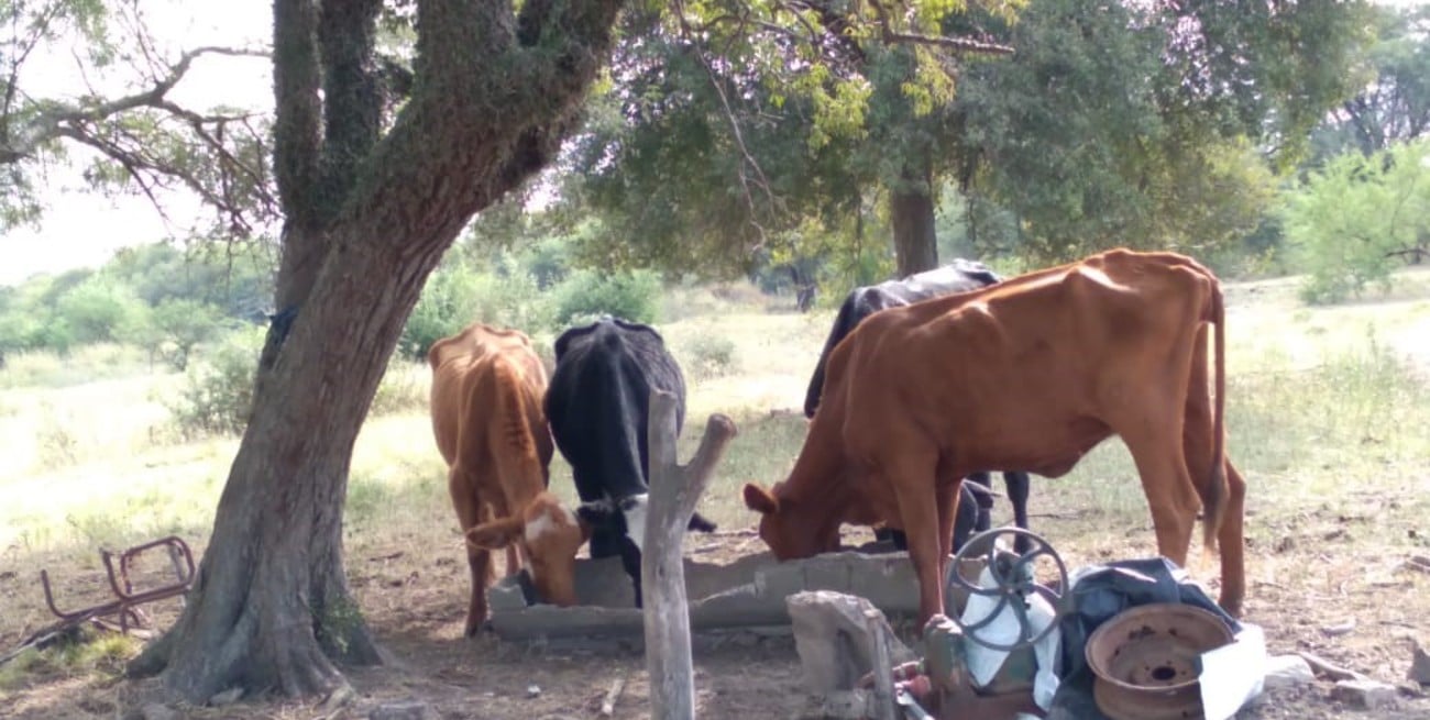 La agonía no tiene fin en Fortín Olmos