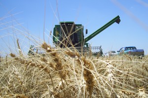 “El dólar agro es nuevo parche que distorsiona y conduce inexorablemente al fracaso”.