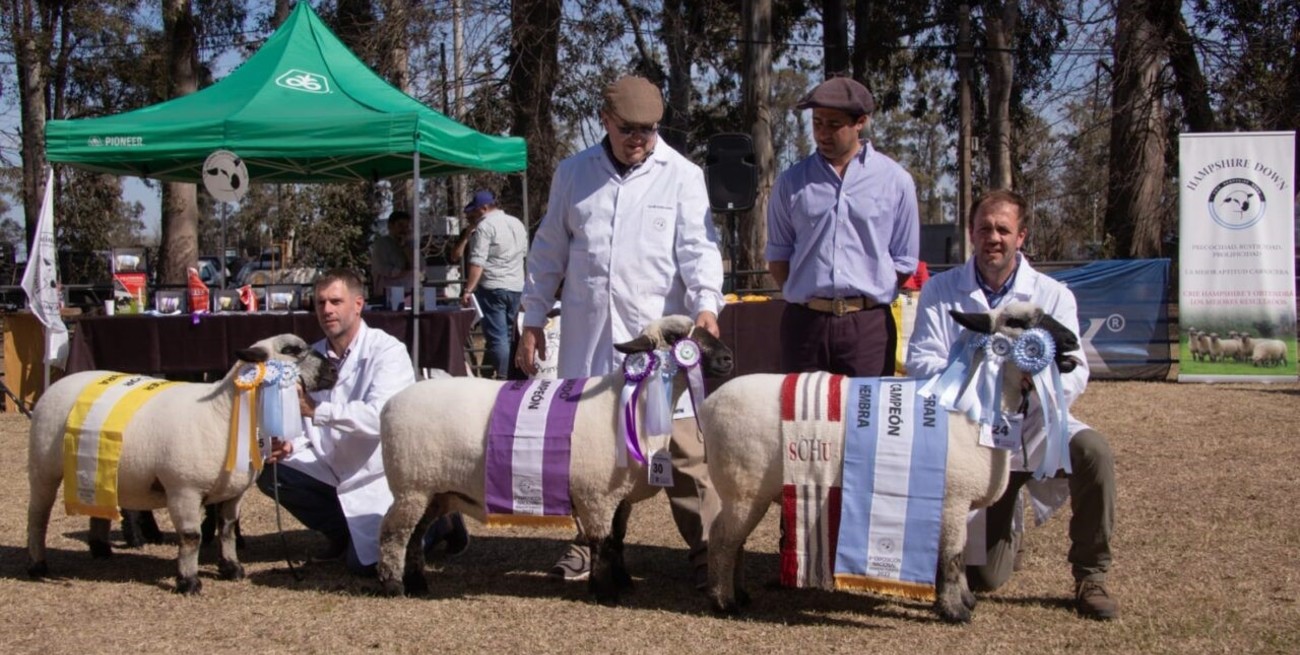 Vuelve ExpoVenado: el potencial del sur provincial se reencontrará en la Rural