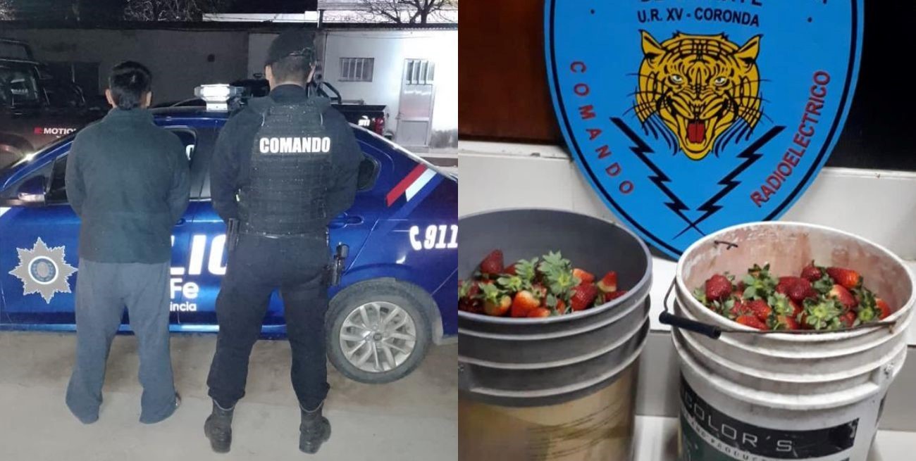 El intendente de Coronda sufrió un robo en su quinta de frutillas