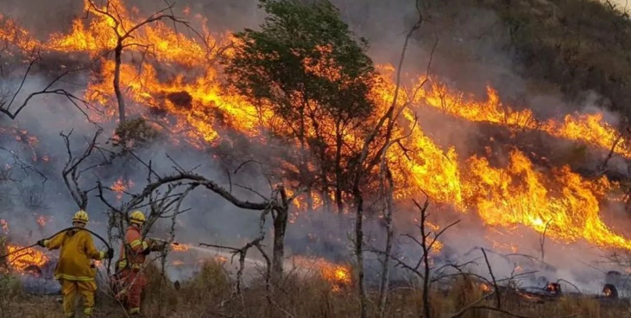 Se registran focos activos de incendios forestales en cuatro provincias
