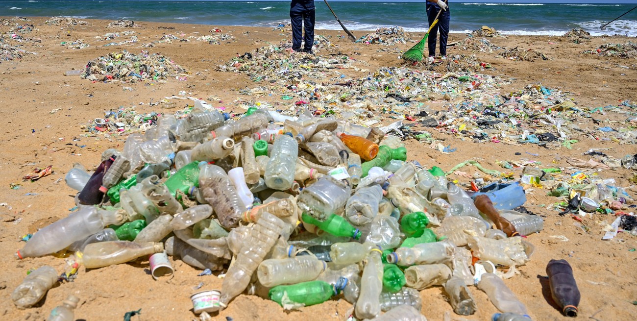 Contra la contaminación por plásticos: la ciudad se unió al programa Urban Ocean