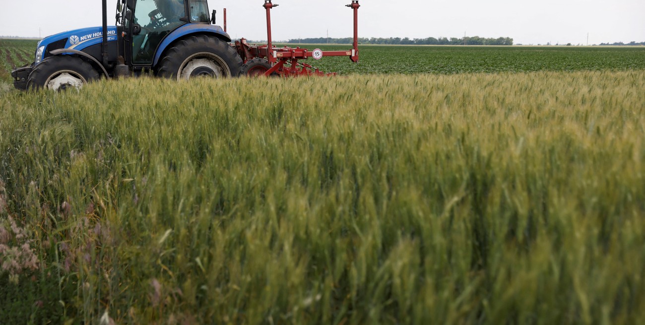 Turquía pide a Occidente "cumplir con sus promesas" para que Ucrania exporte granos