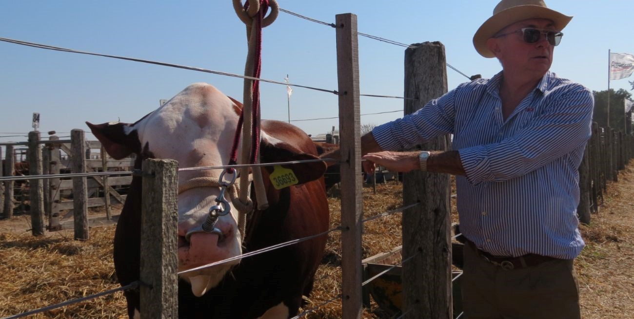 "Acá tenemos las mejores cabañas del país"