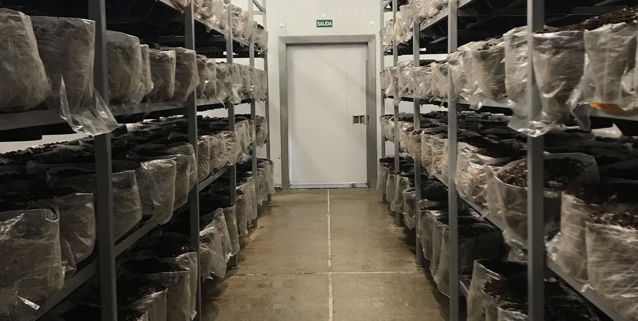 Avanza la idea crear un Parque Logístico Industrial en Colonia San José