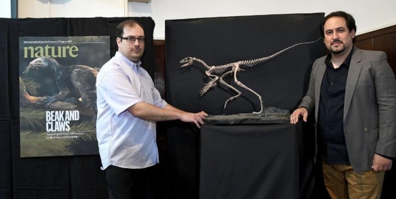 Son argentinos y participaron del hallazgo de un enigmático reptil de 230 millones de años