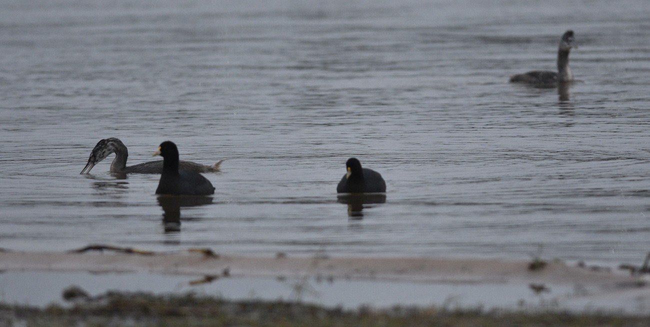 Línea directa y llegan cartas