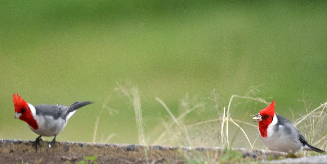 Línea directa y llegan cartas