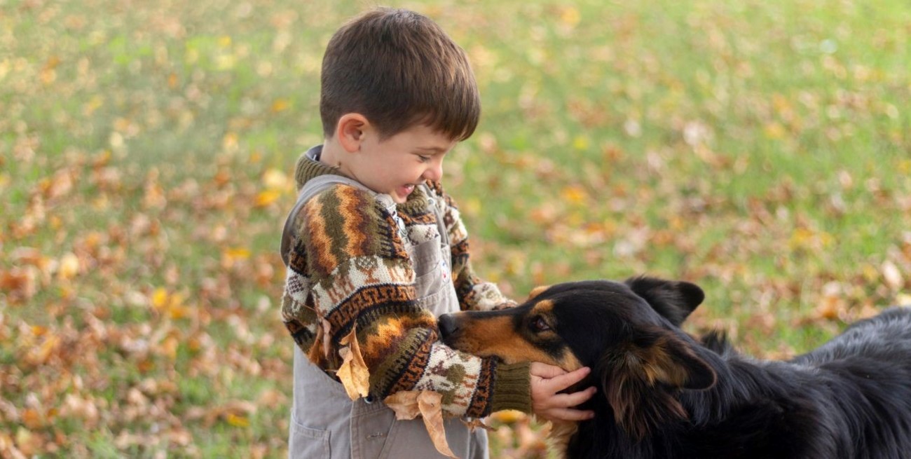 Los beneficios de la terapia con animales