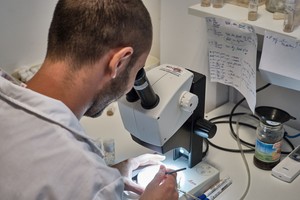 Los proyectos en los que participan investigadores santafesinos abordan temas de agrobiotecnología, energía, ambiente, bienestar animal, microscopía y salud.