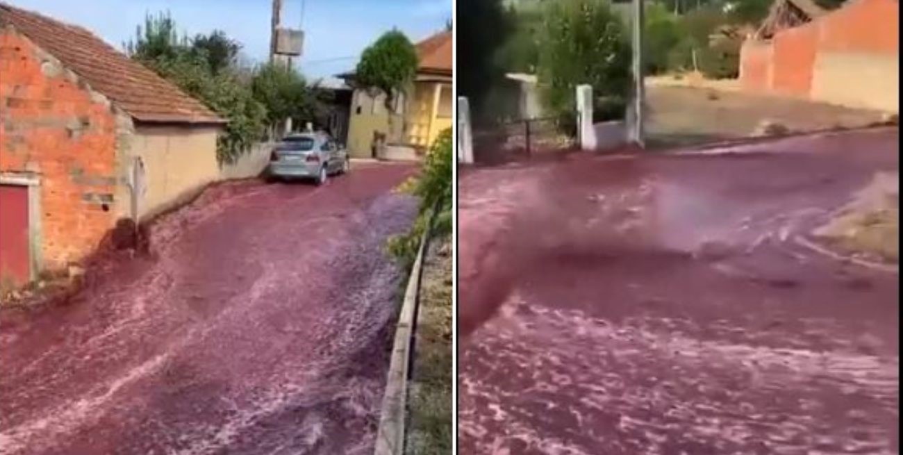 Video: explotaron dos tanques de vino y tiñeron de rojo las calles de Portugal 