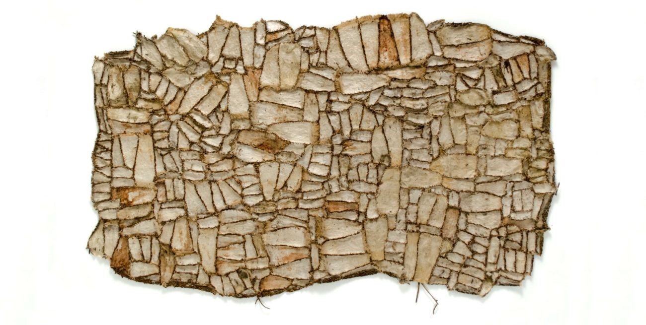 Se inaugurará la muestra "Tramas Interespecie"