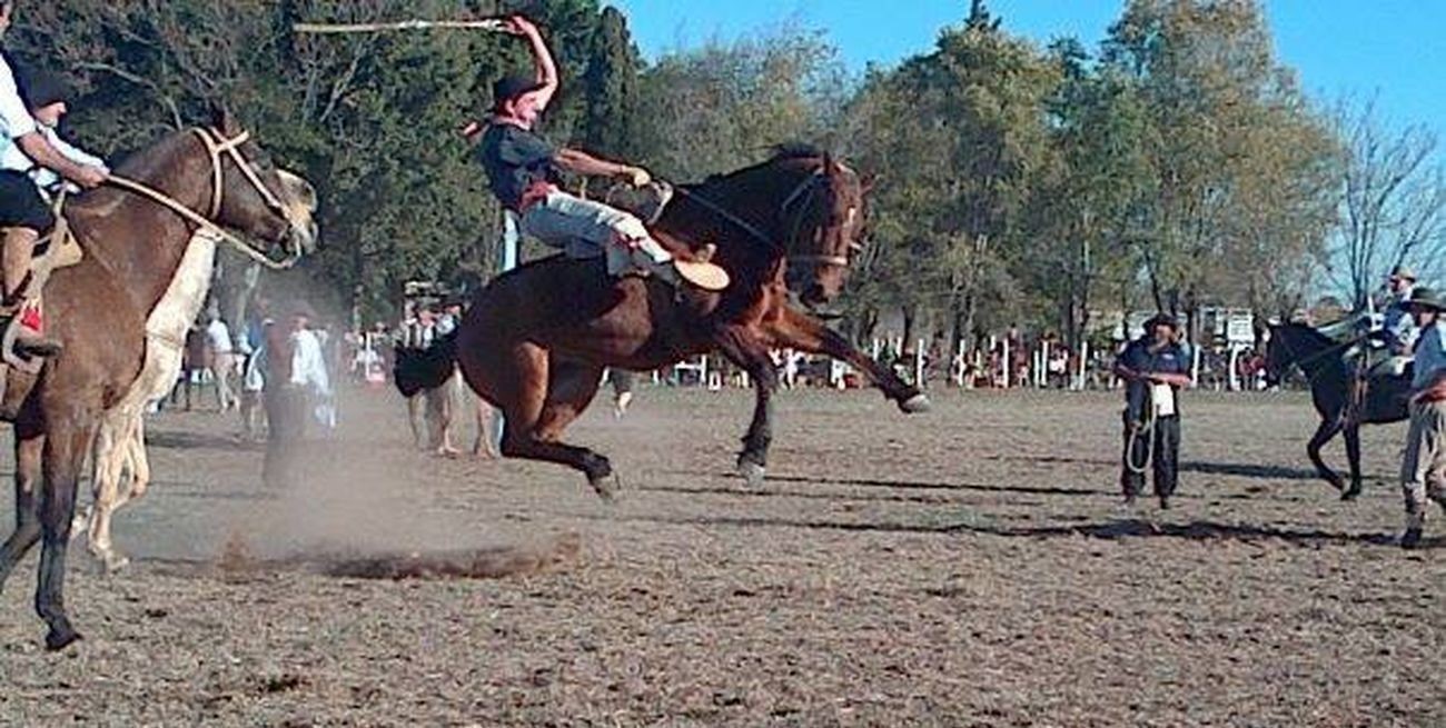 En Ibarlucea: caballo desbocado hirió de gravedad a un niño de 8 años