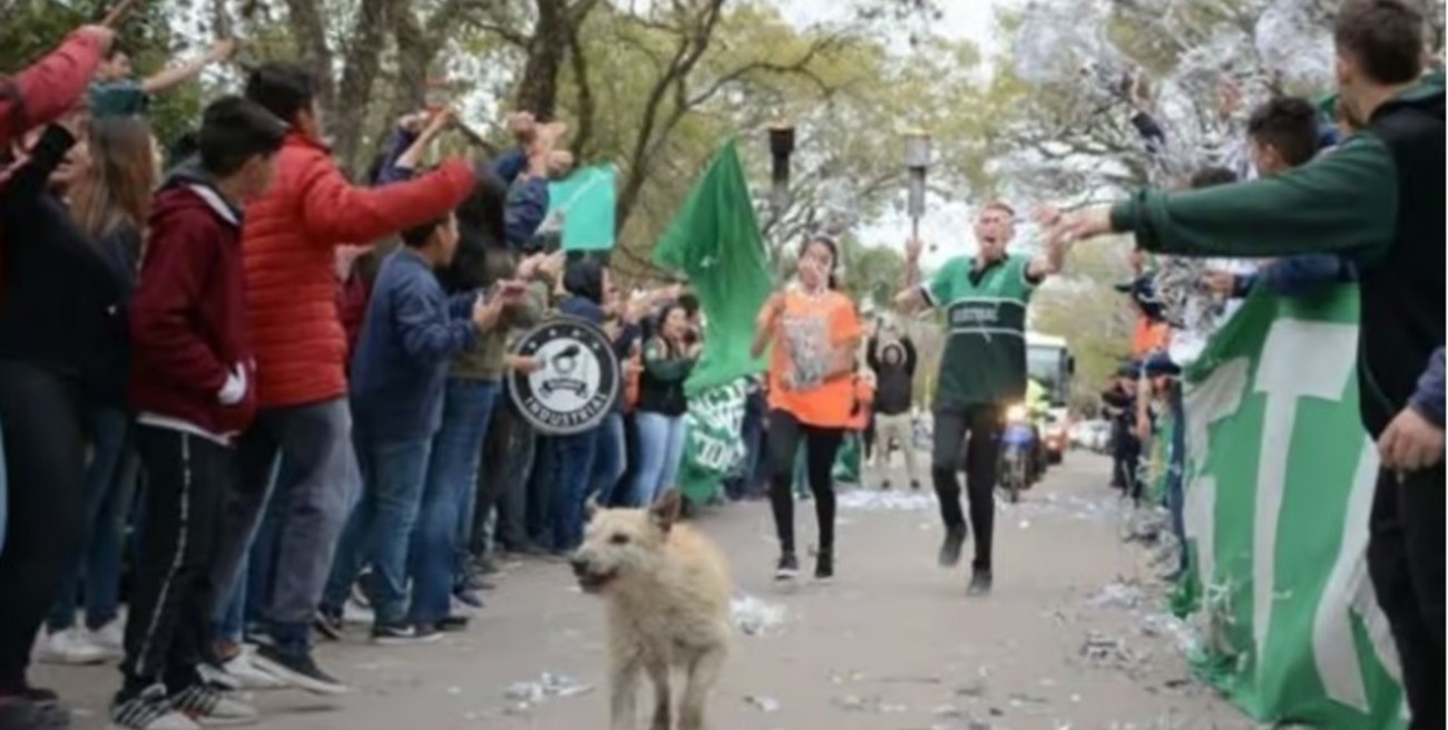 Hirieron brutalmente a Indio, el perro "runner" de Reconquista