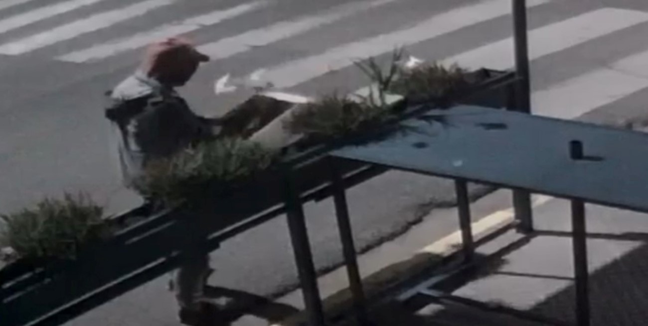 Video: robo y vandalismo en un bar de barrio Candioti