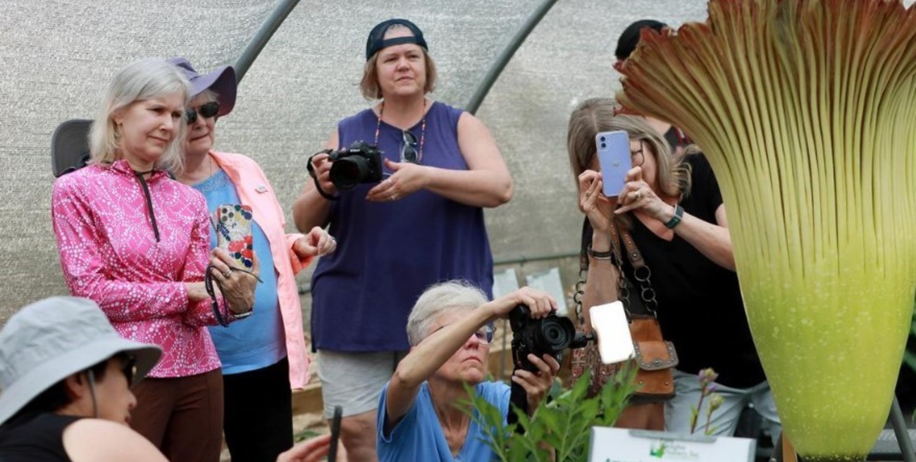 Esta extraña planta podría tener el peor olor del planeta