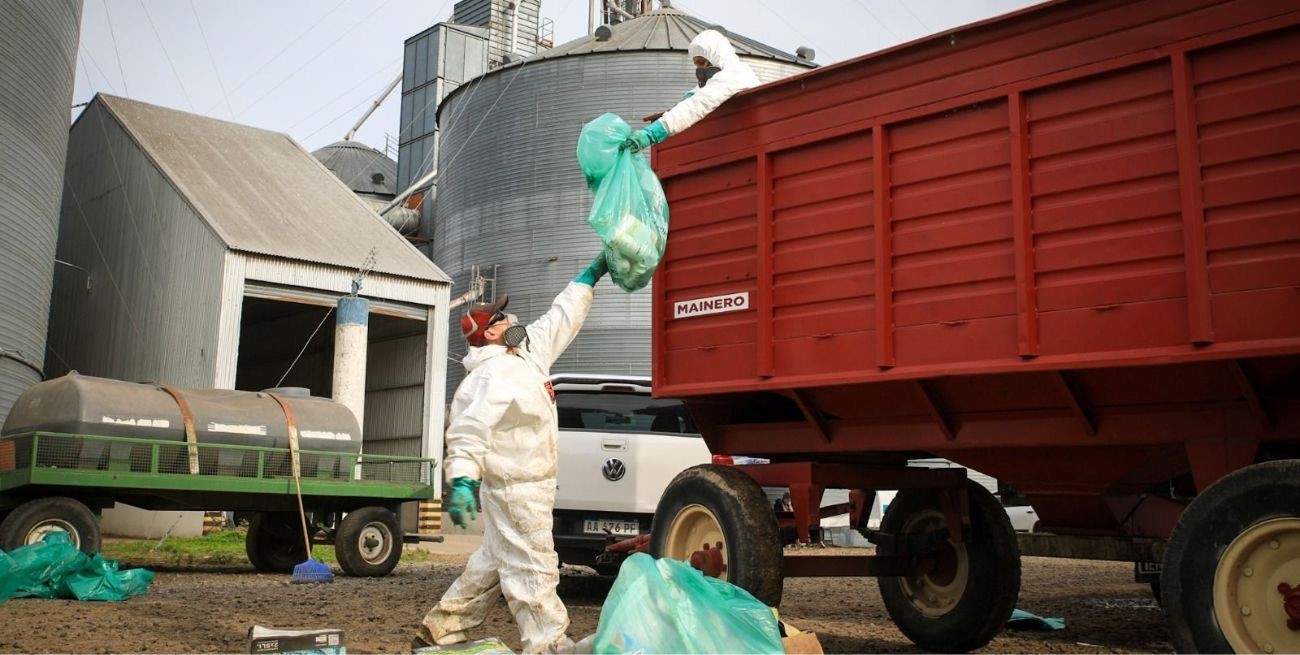 CampoLimpio: "Estamos en condiciones de comenzar a trabajar rápidamente"