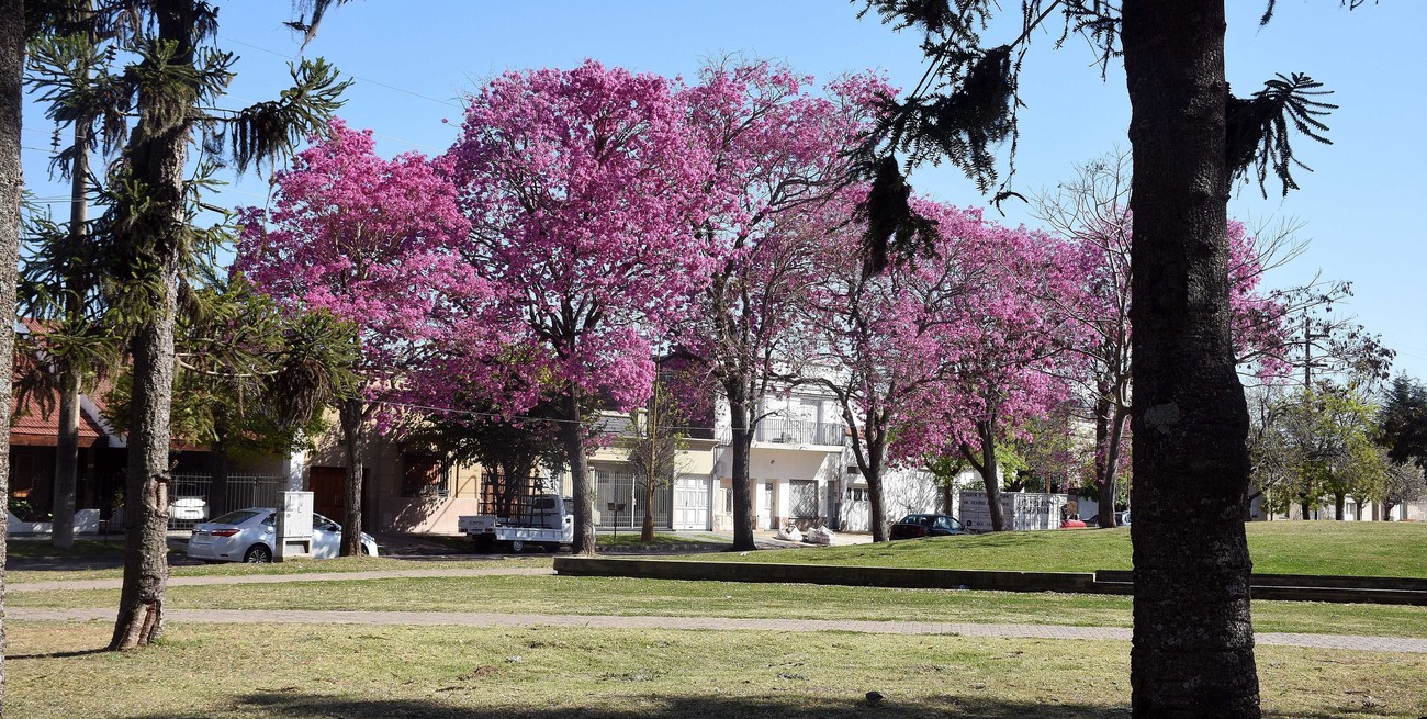 El sábado promete una jornada agradable en Santa Fe: cómo continuará el clima durante el fin de semana